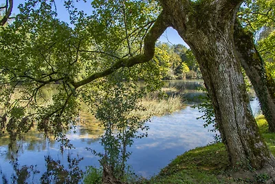 Vakantieappartement Gezinsvakantie Novo Mesto
