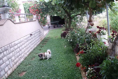 Ferienwohnung mit Klimaanlage