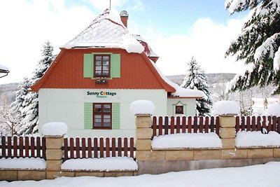 Ferienhaus mit Backofen und Garten