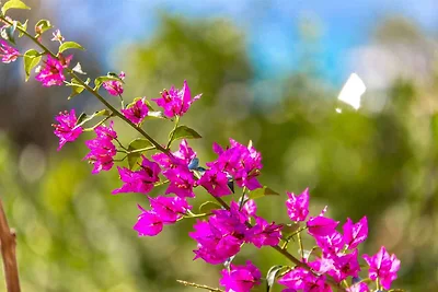 Apartamento Vacaciones familiares Molunat