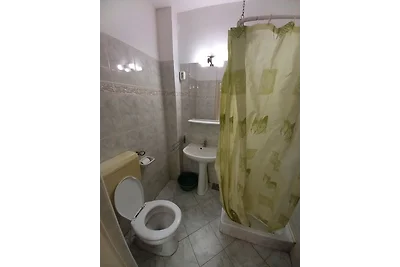 Appartamento Vacanza con famiglia Balatonfüred