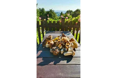 Casa vacanze Vacanza di relax Starkov