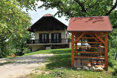 Ferienhaus mit Internetzugang und Grill