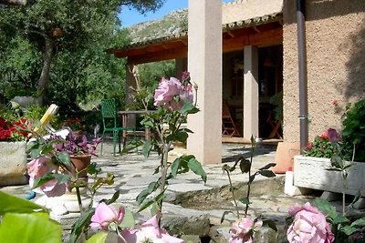 Ferienhaus Finca Can Moll