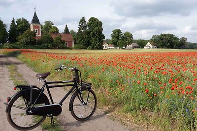 Ferienhaus für Familien in Seenähe