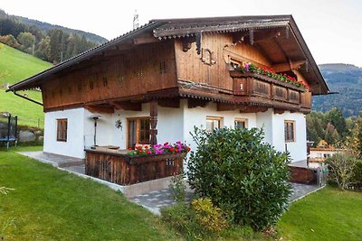 Holiday home relaxing holiday Kaltenbach