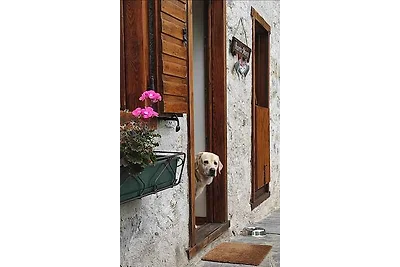 Casa vacanze Vacanza di relax Tiarno di Sotto