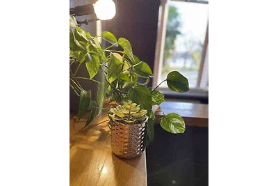 Ferienwohnung mit Klimaanlage, Internet und