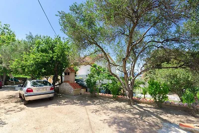 Charmante Ferienwohnung Vera mit Meerblick au