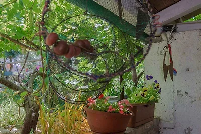 Studio mit TV und Terrasse