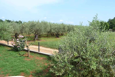 Appartamento Vacanza con famiglia Umago