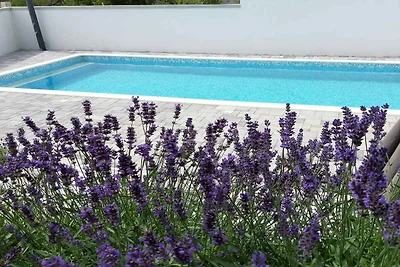 Ferienwohnung mit Pool und Grillterrasse