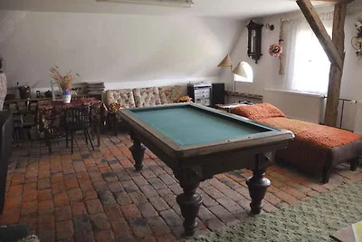 Hotelapartment mit Billard und Angelmöglichke