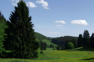 Finnhütte mit Terrasse