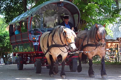 Ferienwohnung unter Schilfdach, nur 100 m zum