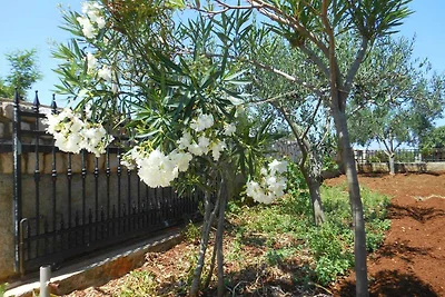 Apartamento Vacaciones familiares Molunat