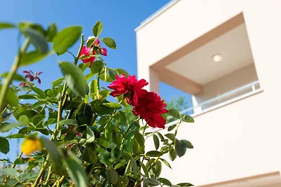 Ferienwohnung 100 m dal mare