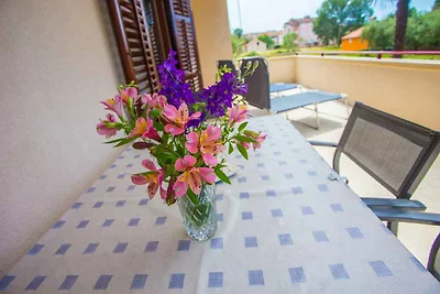 Die charmante Wohnung im Erdgeschoss des Haus