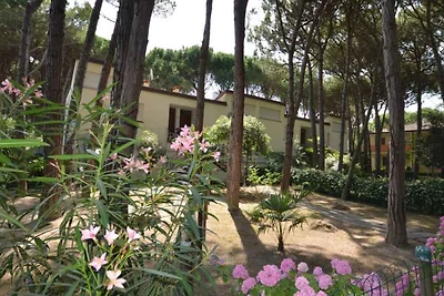 Vakantieappartement Gezinsvakantie Caerano di San Marco
