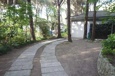 Bungalow 80 m vom Strand mitten im Pinienhain