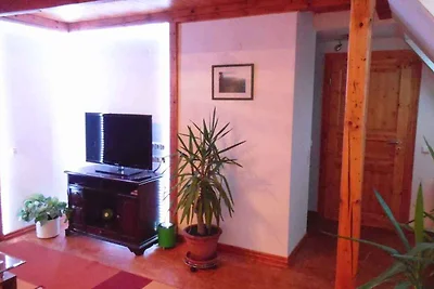 Ferienwohnung mit Blick auf den Frankenwald