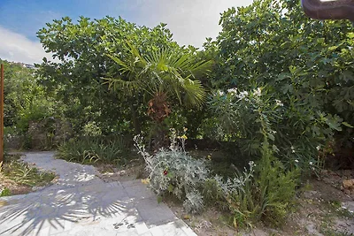 Ferienwohnung mit Terrasse, Tiere sind