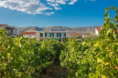 Luxuriöse Villa Marija mit Meerblick und gros