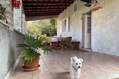 Ferienhaus mit Klimaanlage und Terrasse