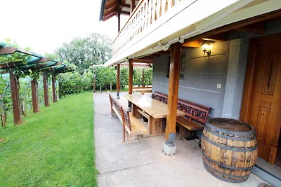 Ferienhaus Weingut mit Internet