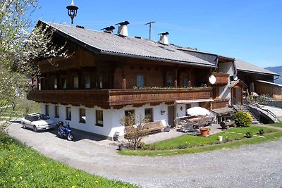 Ferienwohnung mit Blick auf die Zillertaler
