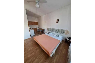 Studio mit Klimaanlage und mit Terrasse