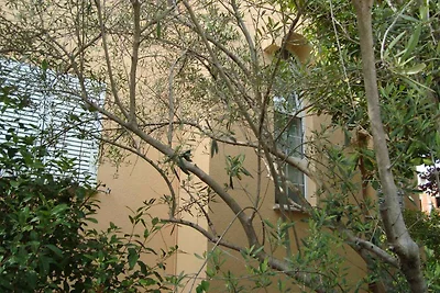 Ferienwohnung in sonniger Lage mit Klimaanlag