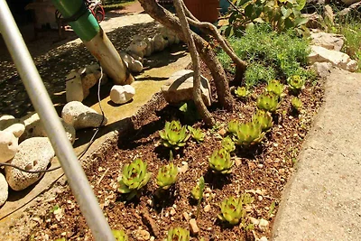 Charmantes Ferienapartment Bijelić auf der In