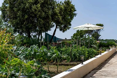 Villa mit Pool