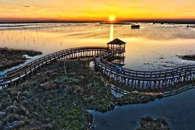 Appartamento Vacanza con famiglia Rosolina Mare