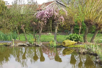 Studio auf dem Bauernhof