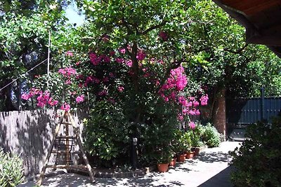 Holiday flat family holiday Sorrento