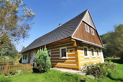 Ferienhaus mit Pool und Kaminofen