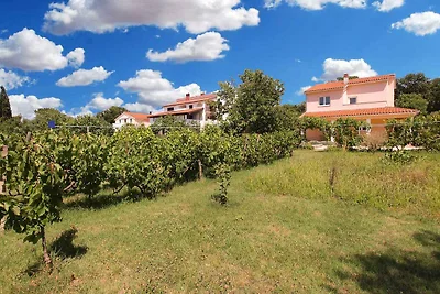 Ferienwohnung mit Klimaanlage