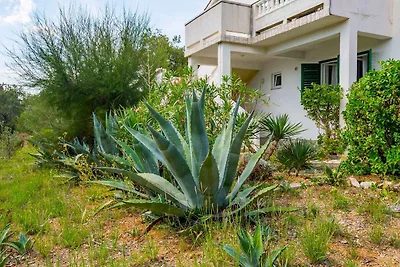 Vakantieappartement Gezinsvakantie Barbat