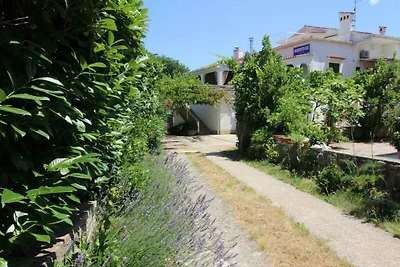 Charmante Ferienwohnung Anđela auf der Insel 