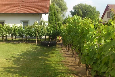 Vakantiehuis Ontspannende vakantie Balatonfenyves