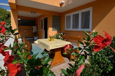 Vakantieappartement Gezinsvakantie Orebic