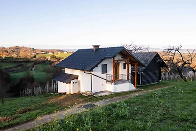 Ferienhaus mit Terrasse