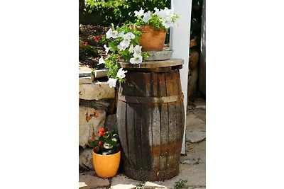 Vakantiehuis Ontspannende vakantie Vinisce