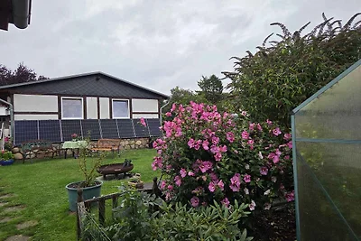 Bungalow mit kleiner Terrasse