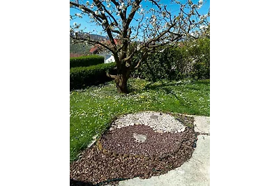 Vakantiehuis Ontspannende vakantie Slovenië