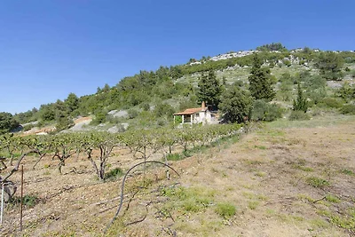 Ferienhaus mit Garten und Grill