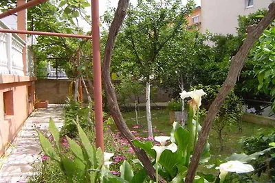 Vakantieappartement Gezinsvakantie Mali Lošinj