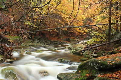 Ferienwohnung im Skigebiet